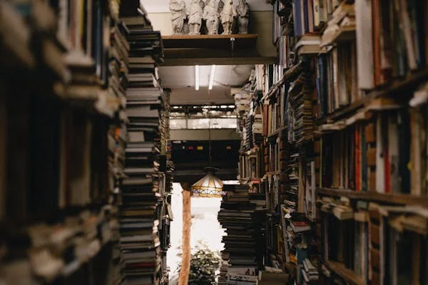 Little Free Libraries & Pantries